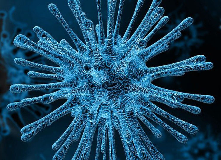 Coronavirus, 10 consigli in facile da leggere!