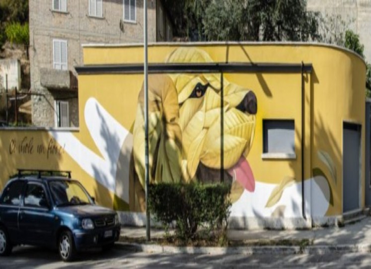 Street art, Etsom, Ascoli Piceno: bellezza e solidarietà
